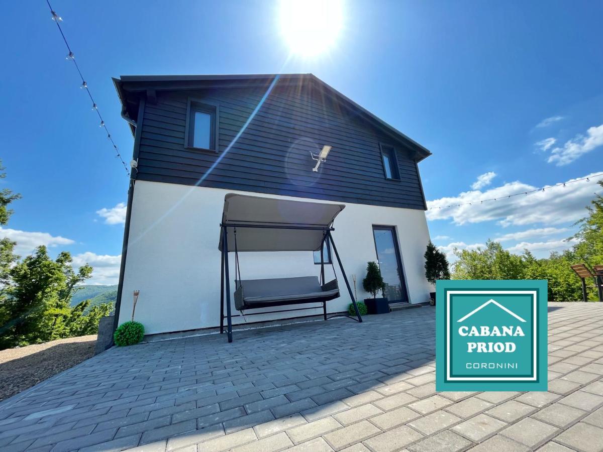 Cabana Priod Coronini Pescari Exterior photo