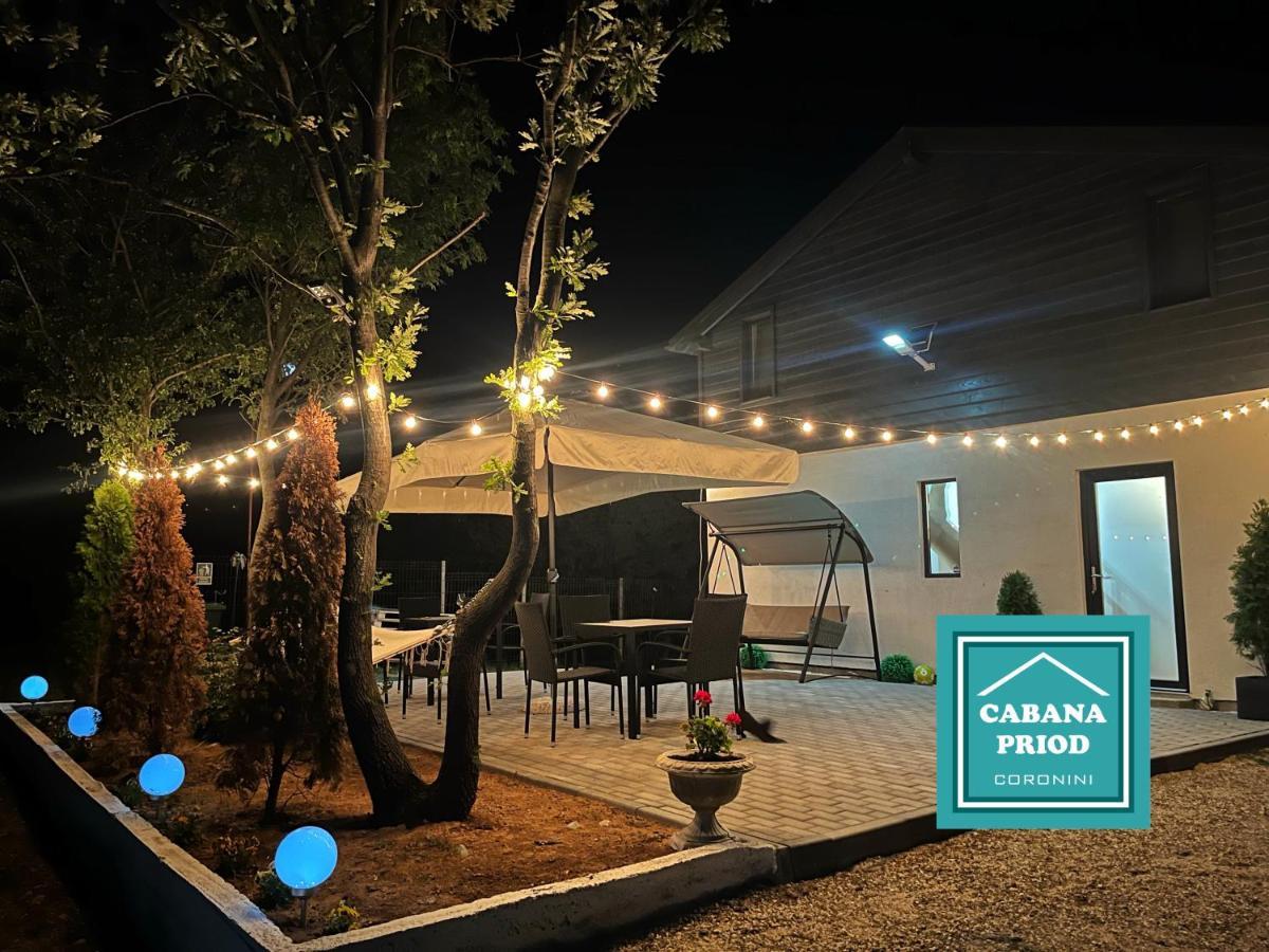 Cabana Priod Coronini Pescari Exterior photo